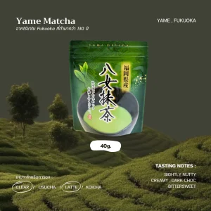 Yame Matcha