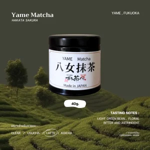 Yame" 40g. - HAKATA SAKURA
